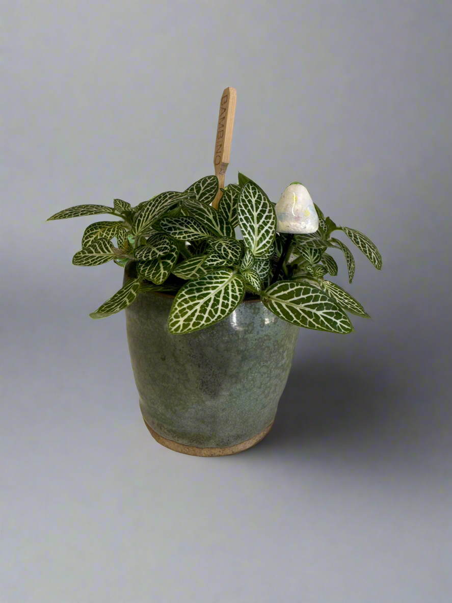 Little Fungi Friends – Handcrafted Ceramic Mushrooms